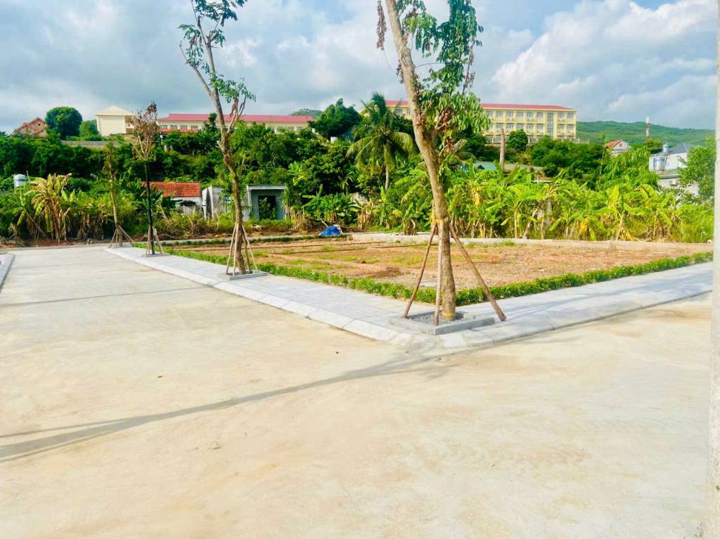 thuviennhadat.vn