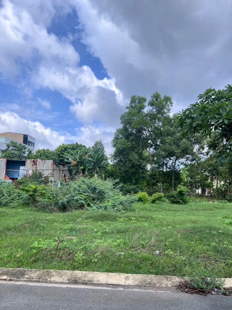 thuviennhadat.vn