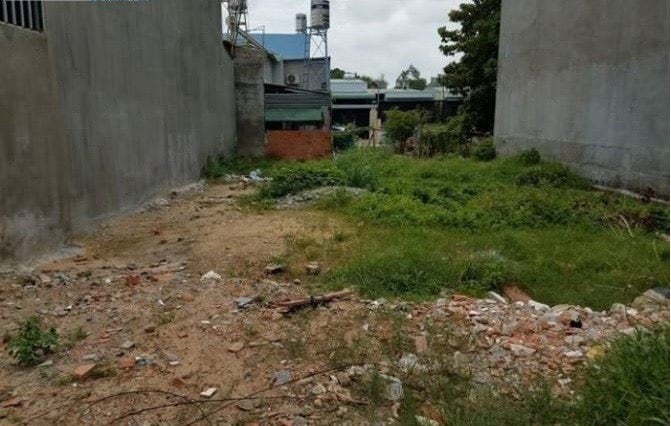 thuviennhadat.vn