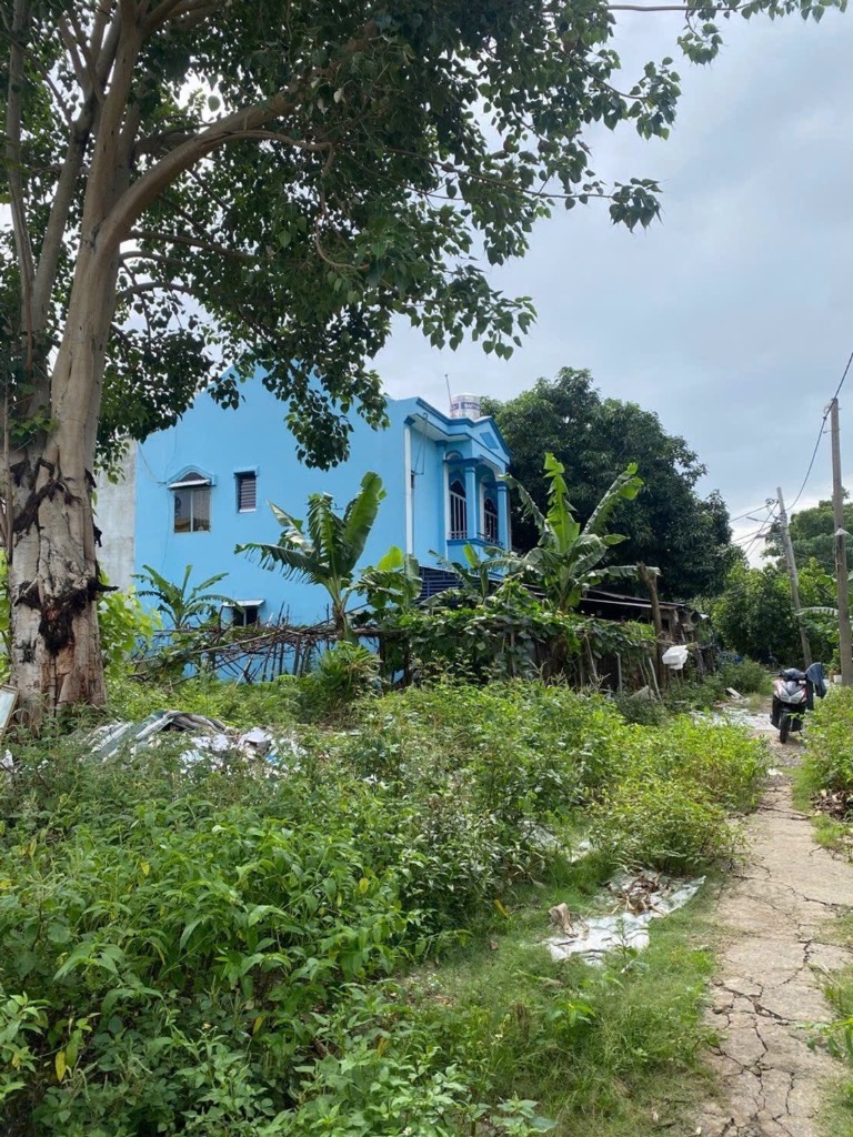 thuviennhadat.vn