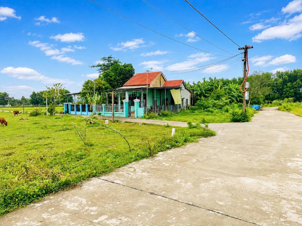 thuviennhadat.vn