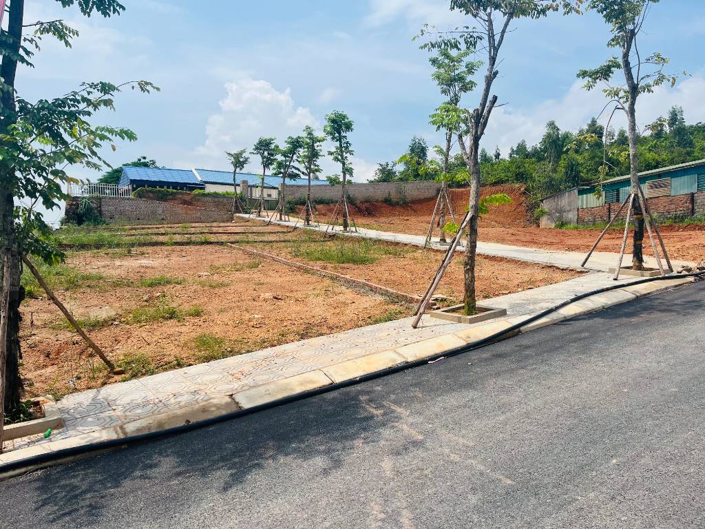 thuviennhadat.vn