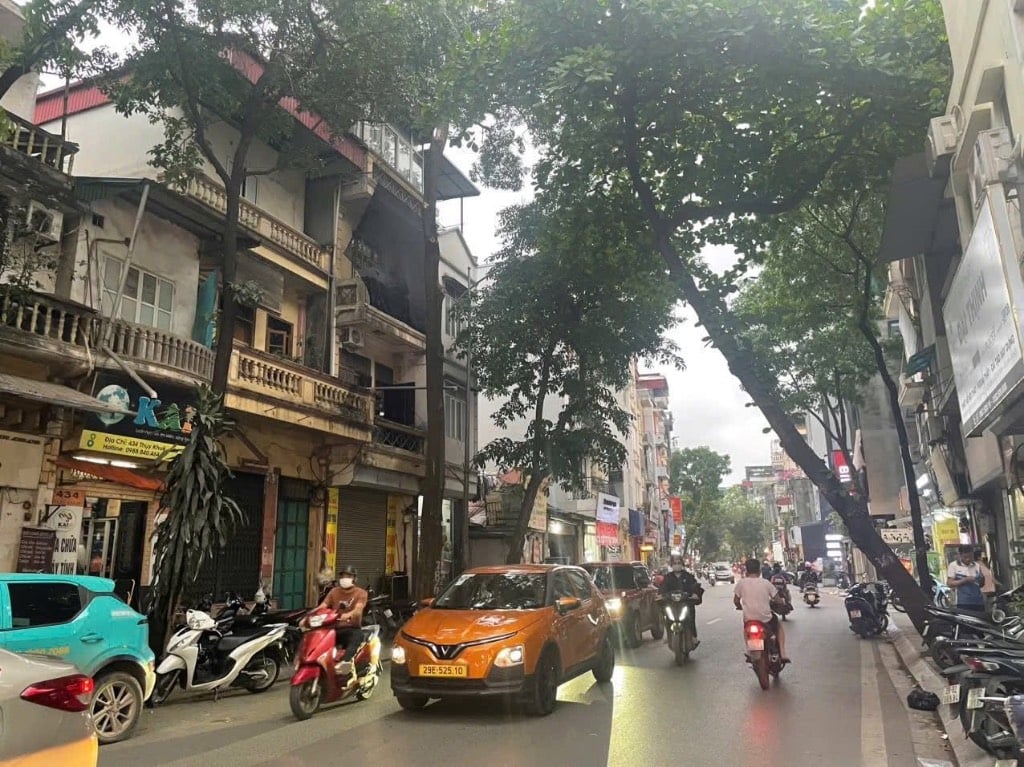 thuviennhadat.vn