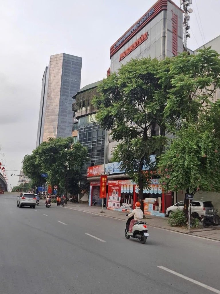 thuviennhadat.vn