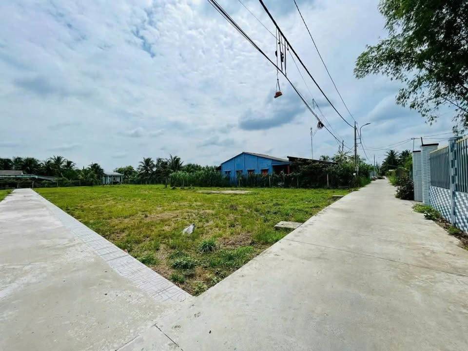 thuviennhadat.vn