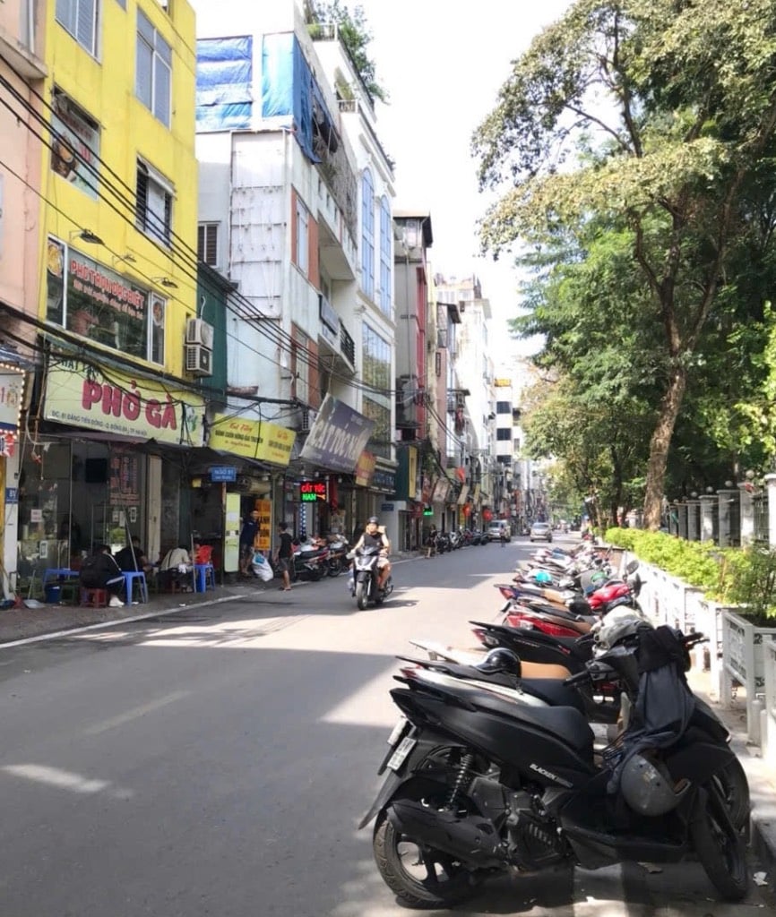 thuviennhadat.vn