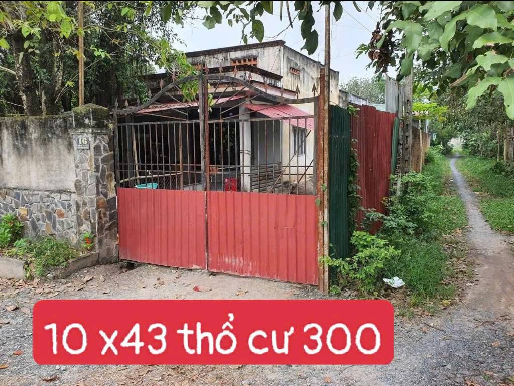 thuviennhadat.vn