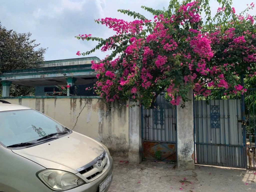 thuviennhadat.vn