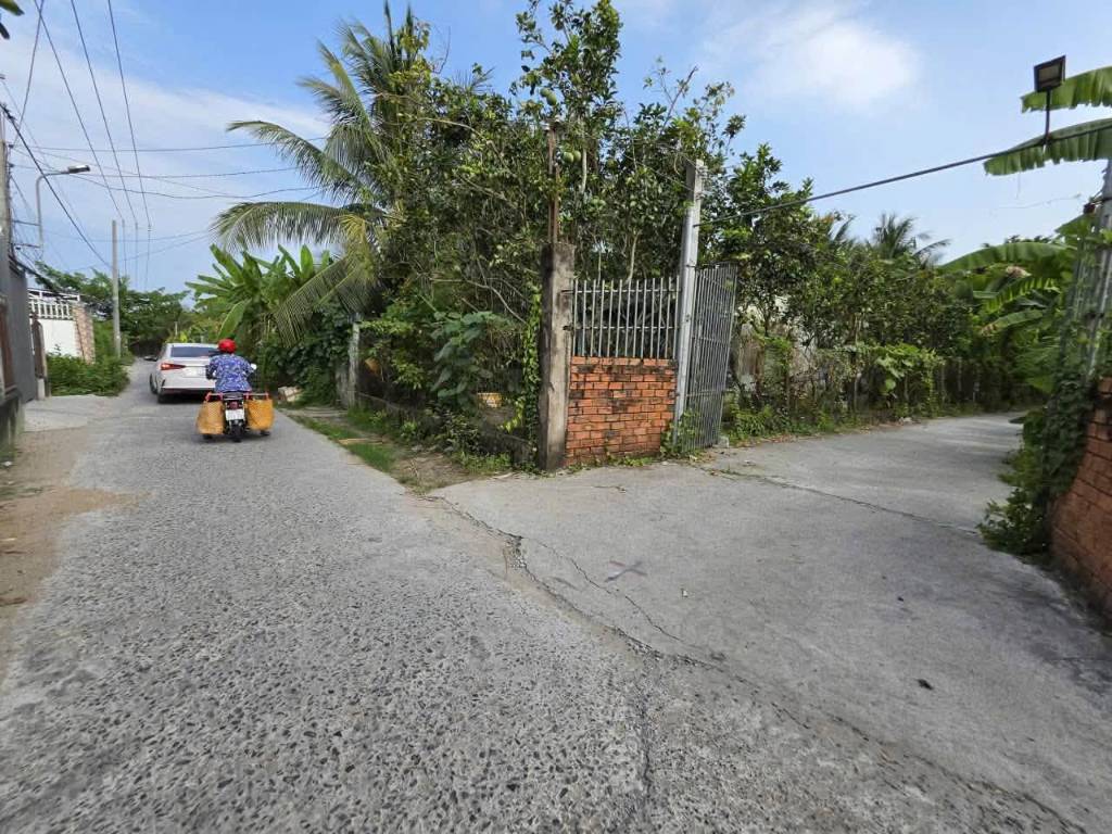 thuviennhadat.vn