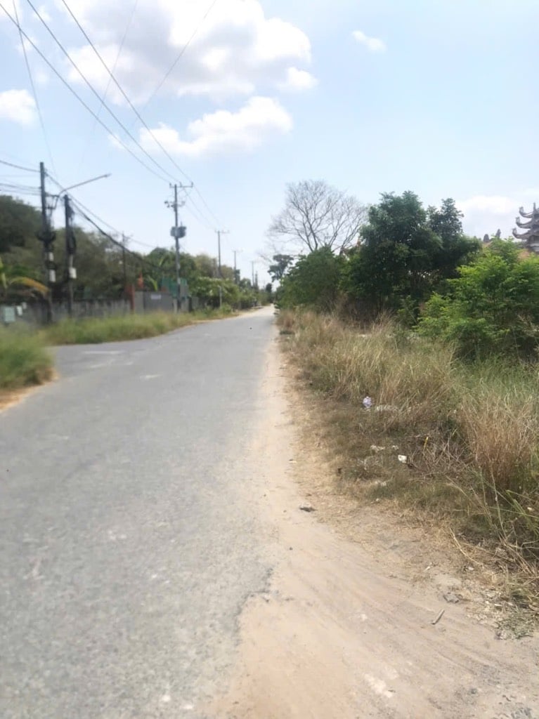 thuviennhadat.vn