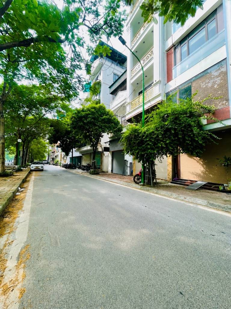 thuviennhadat.vn