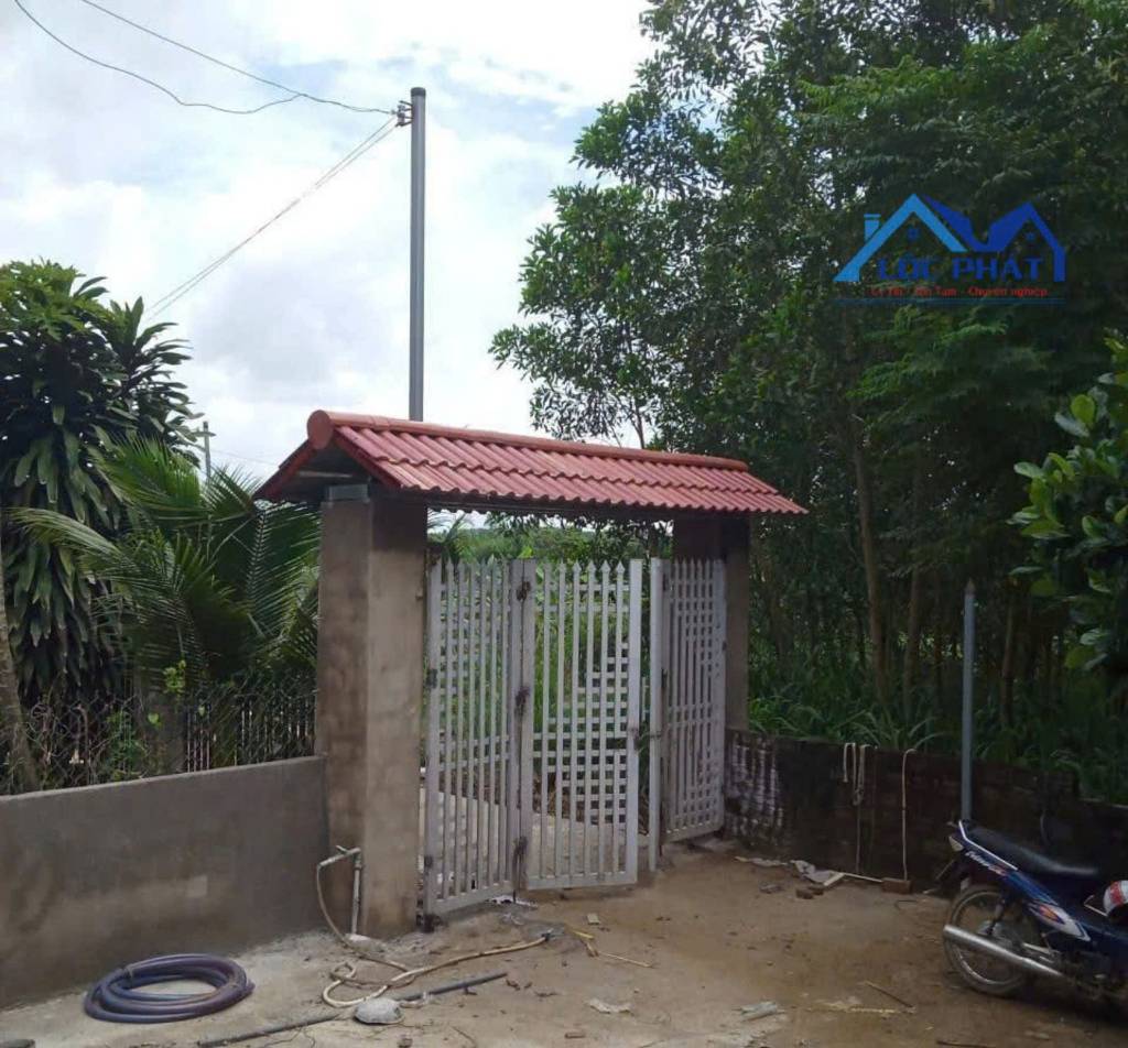 thuviennhadat.vn