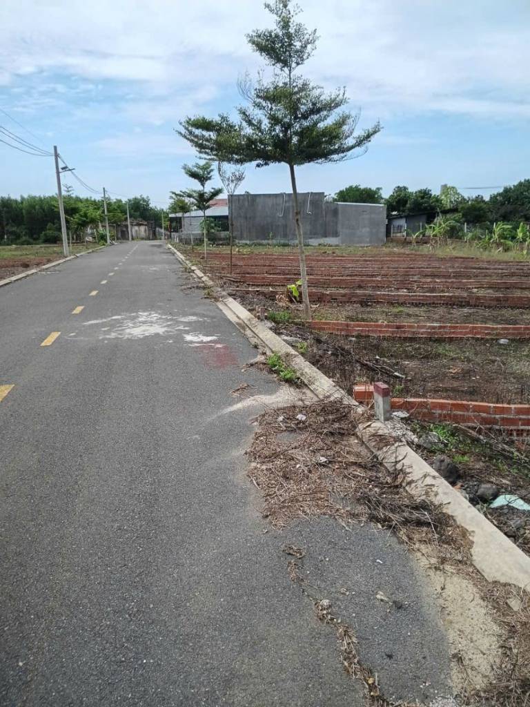 thuviennhadat.vn