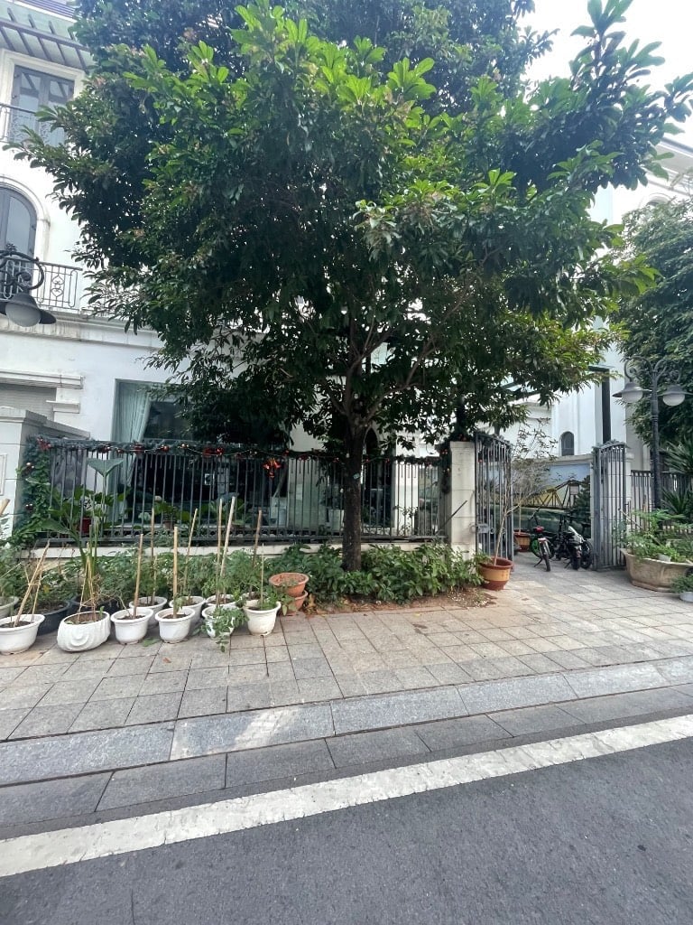 thuviennhadat.vn