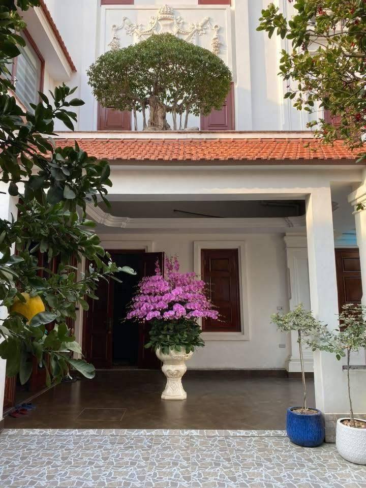 thuviennhadat.vn