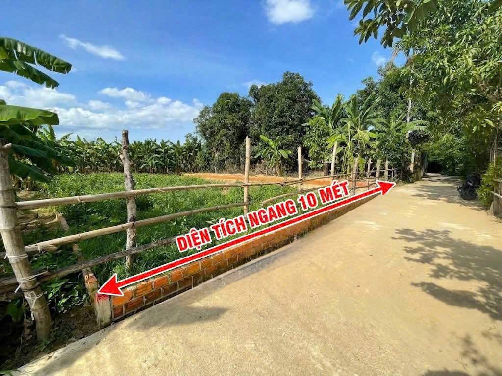 thuviennhadat.vn