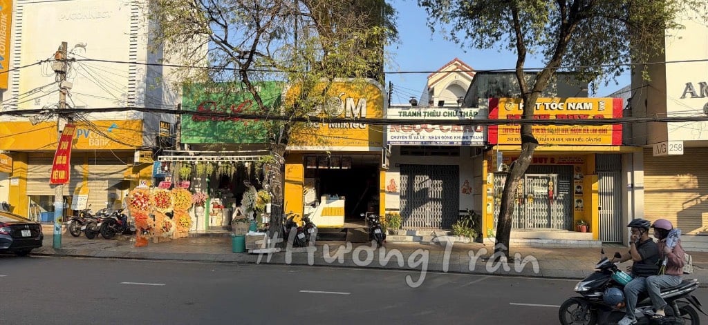 thuviennhadat.vn