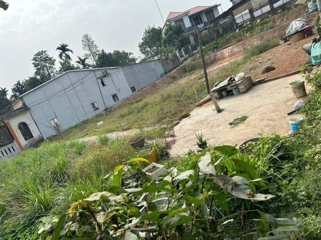 thuviennhadat.vn