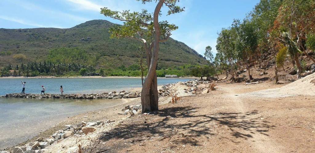 Cho thuê đất Đảo Bích Đầm, Nha Trang, 5.300m², mặt biển 135m, giá 25 triệu