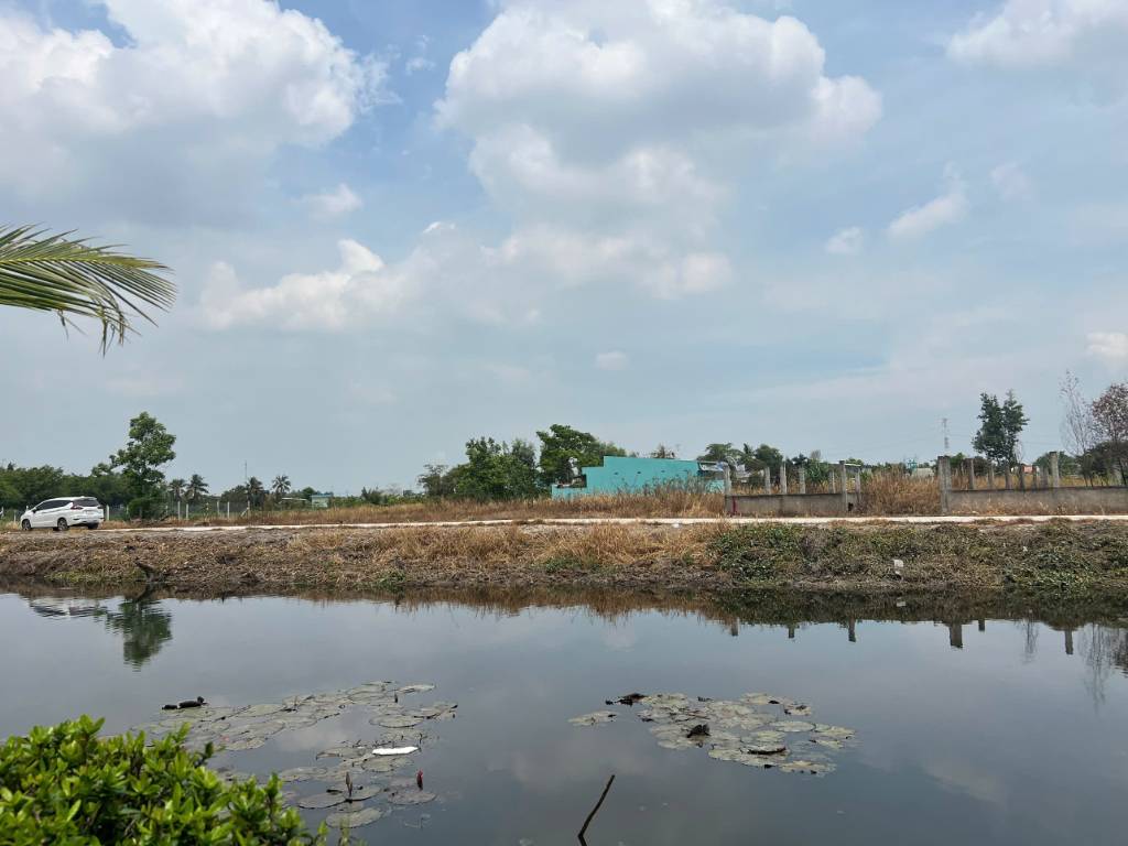 thuviennhadat.vn