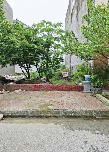 Bán đất tái định cư Tràng Cát, Hải An, Hải Phòng, 75m², giá chỉ 3,2 tỷ
