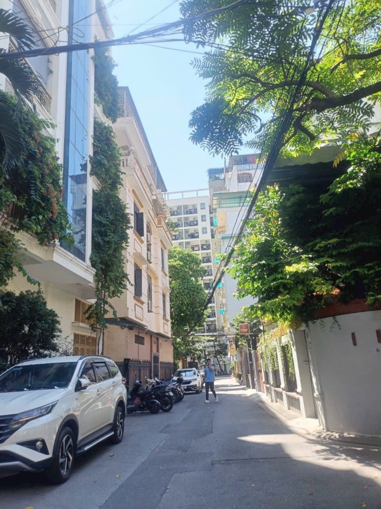 thuviennhadat.vn