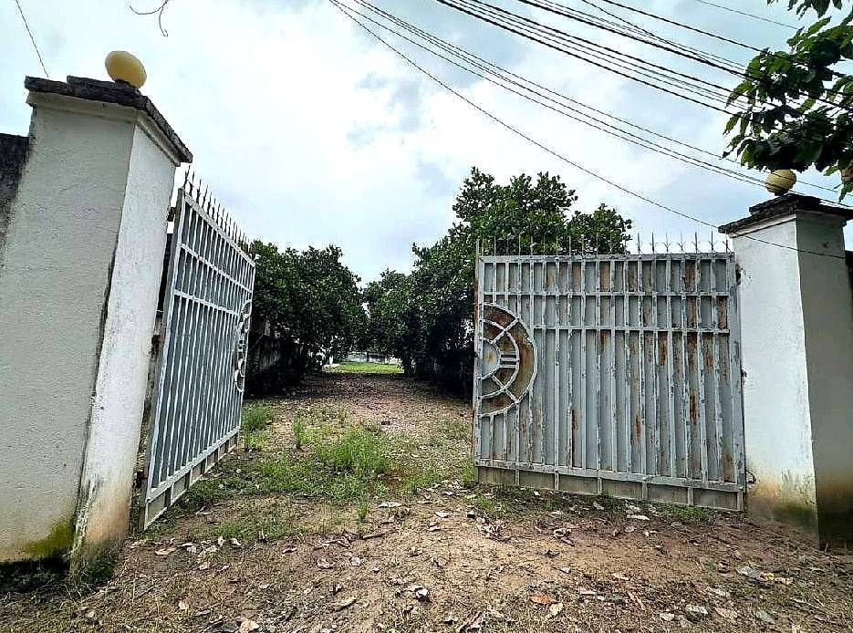 thuviennhadat.vn
