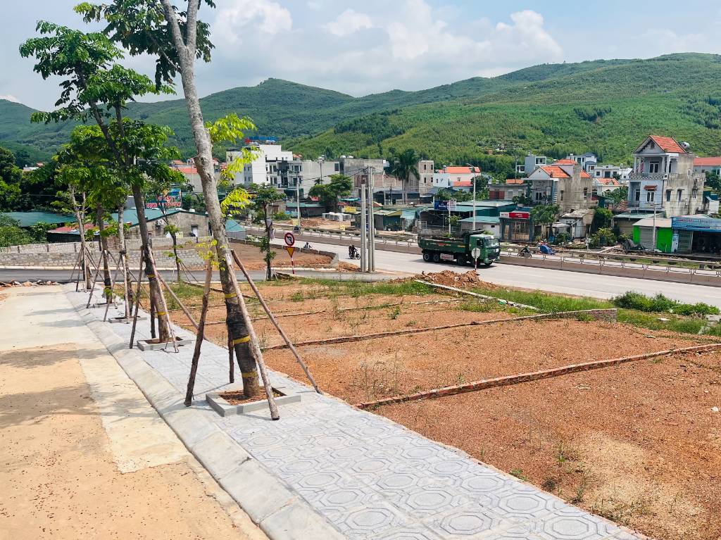 thuviennhadat.vn