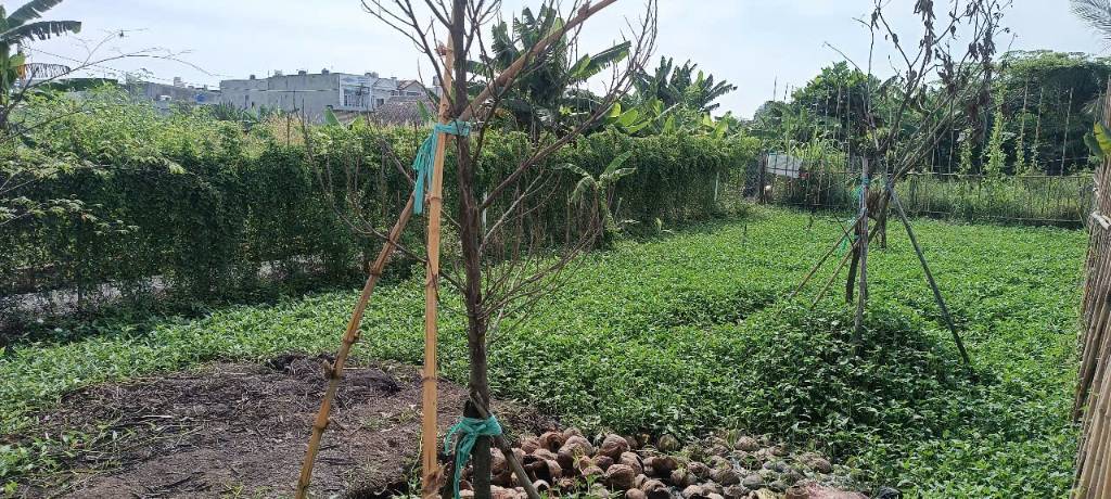 Đất Bình Mỹ gần Vành Đai 3, ô tô thông (10x12,5m), 550 triệu