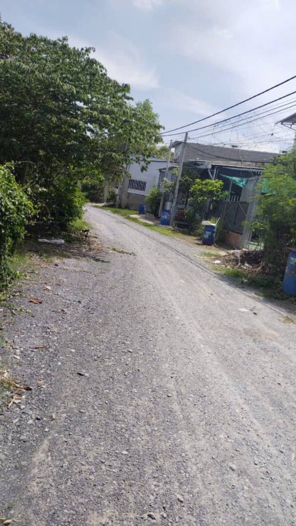 thuviennhadat.vn