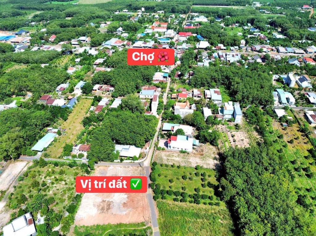 Bán đất MP Phú Xá, Tây Hồ, Hà Nội, giá siêu hời 55 tỷ, 220m2