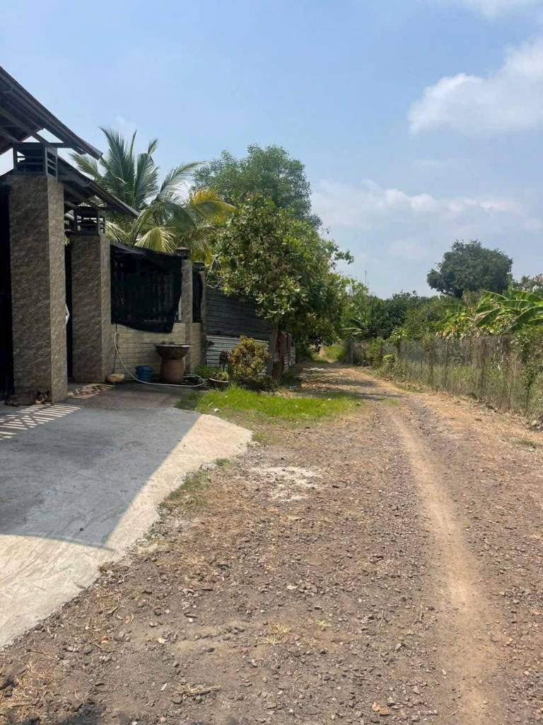 Bán lô đất tại Ngọc Chử, Trường Thọ, An Lão, diện tích 60m2