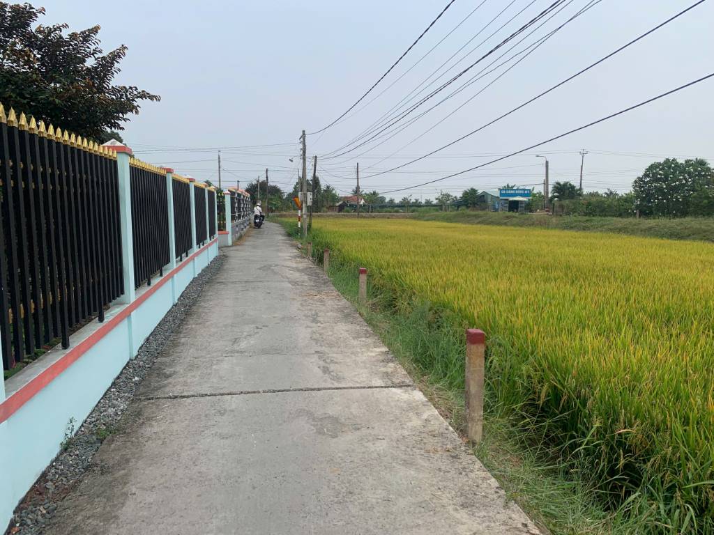 Bán đất 100m2 tại Xã Thanh Cao, Thanh Oai, Hà Nội, giá cực chất 3,2 tỷ