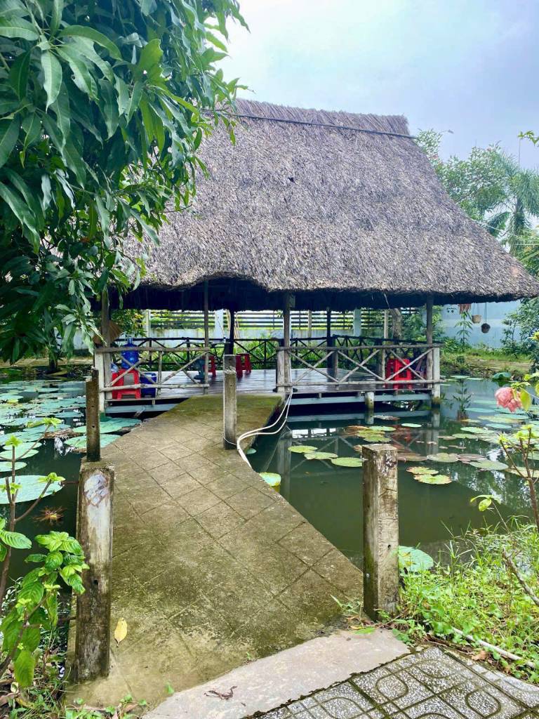 thuviennhadat.vn