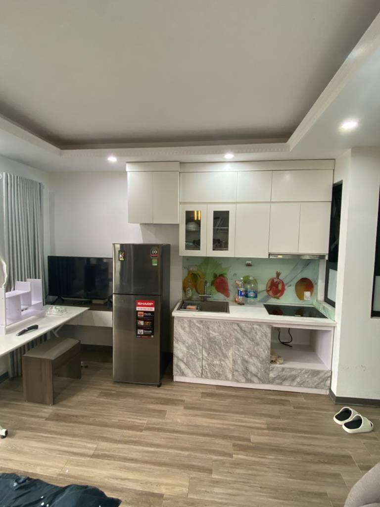Cho thuê chung cư mini 1PN tách bếp Cầu Ông Lãnh Q1 Hồ Chí Minh 40m2 đầy đủ nội thất
