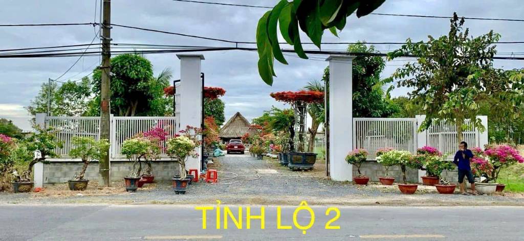 thuviennhadat.vn