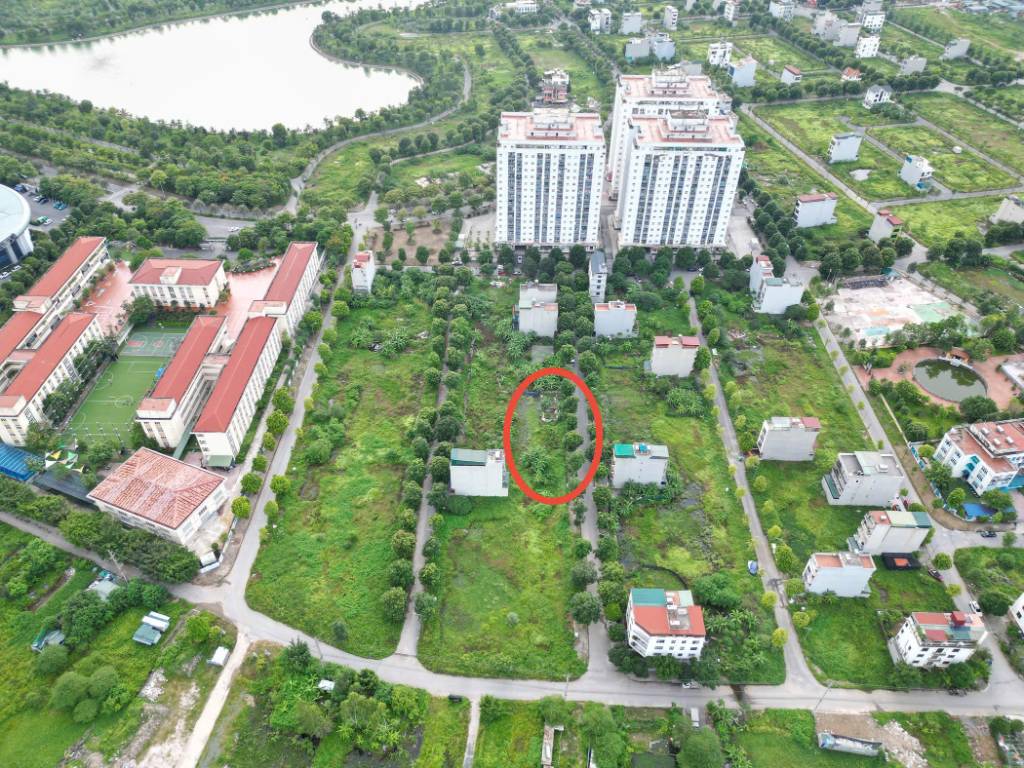 thuviennhadat.vn