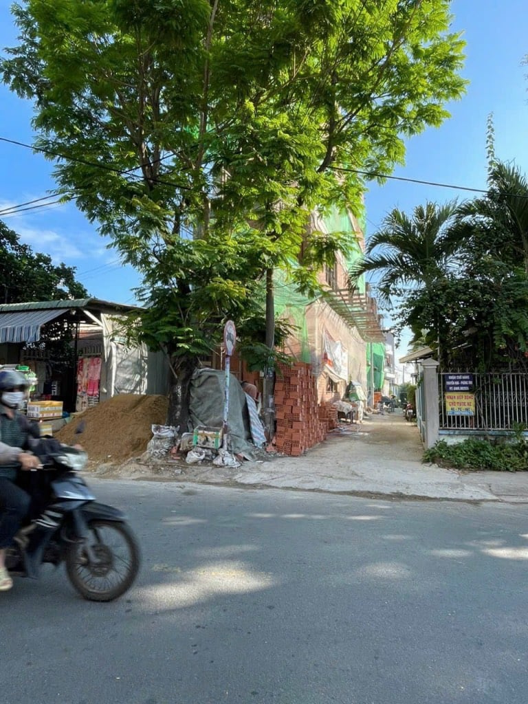 Bán đất 107m² đường Văn Phong, Đồng Thái, An Dương gần dự án shophouse 86 căn