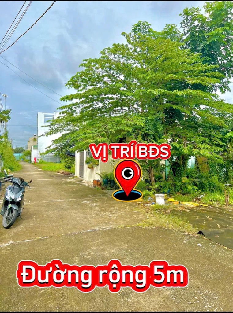 thuviennhadat.vn