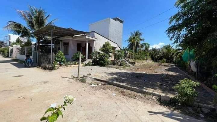 thuviennhadat.vn