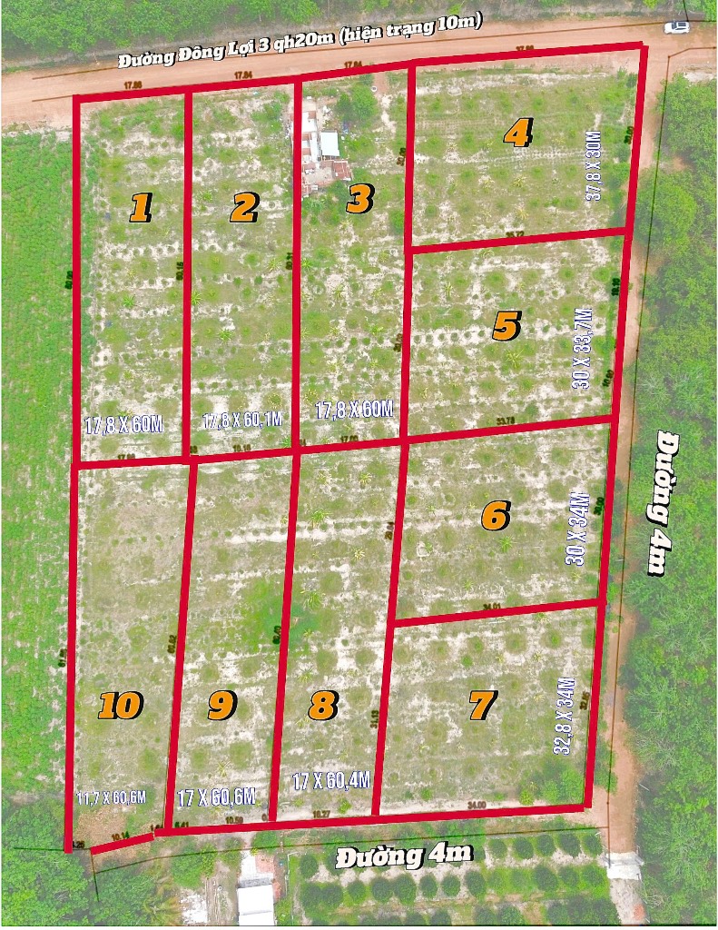 Đất sào Tân Châu Tây Ninh phủ hồng toàn bộ