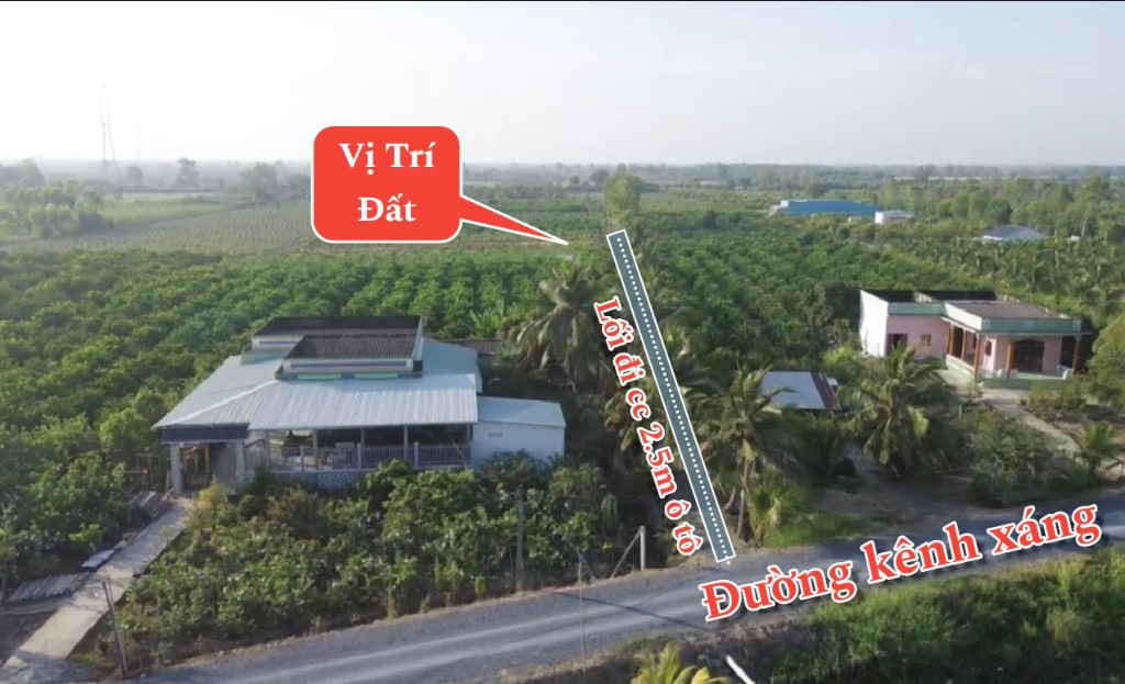 Bán đất vườn Bình Đức - 15x67m đường ô tô