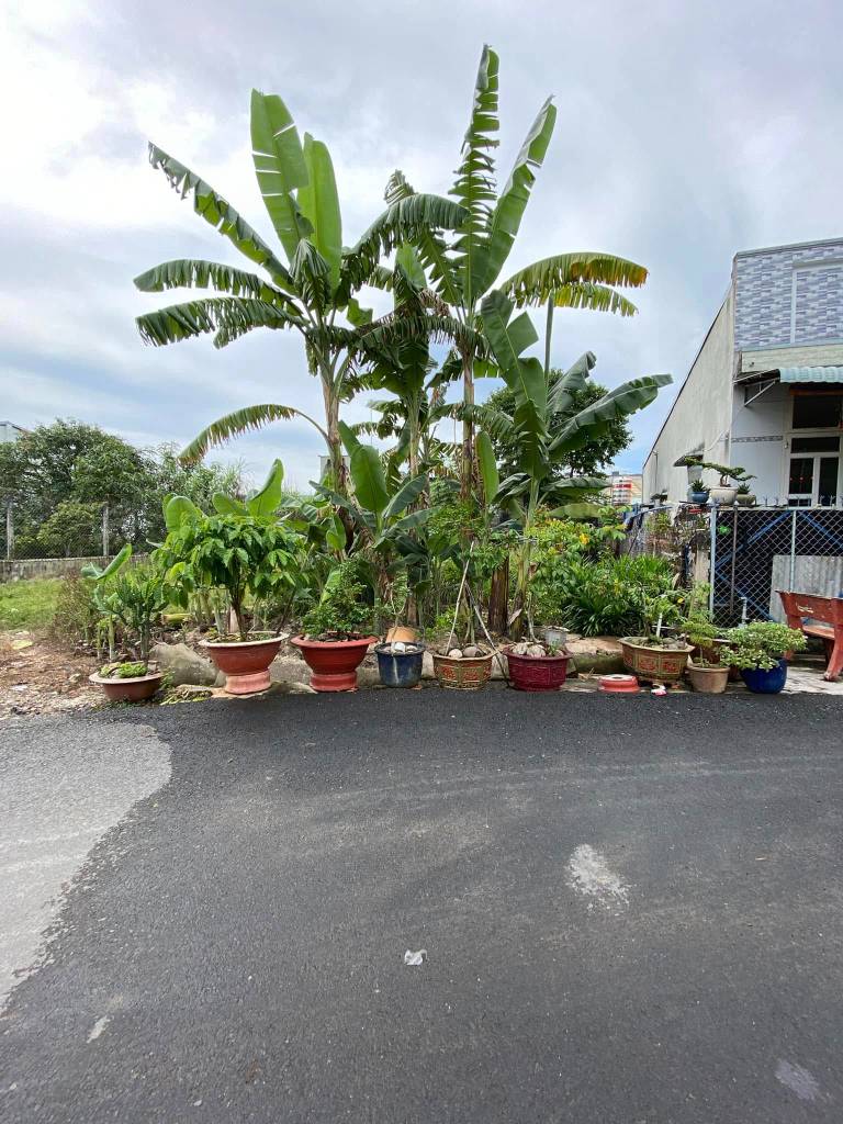 Cần bán đất 72m2 tại Phường Trảng Bàng, Thị xã Trảng Bàng, Tây Ninh giá 1.25 tỷ VND