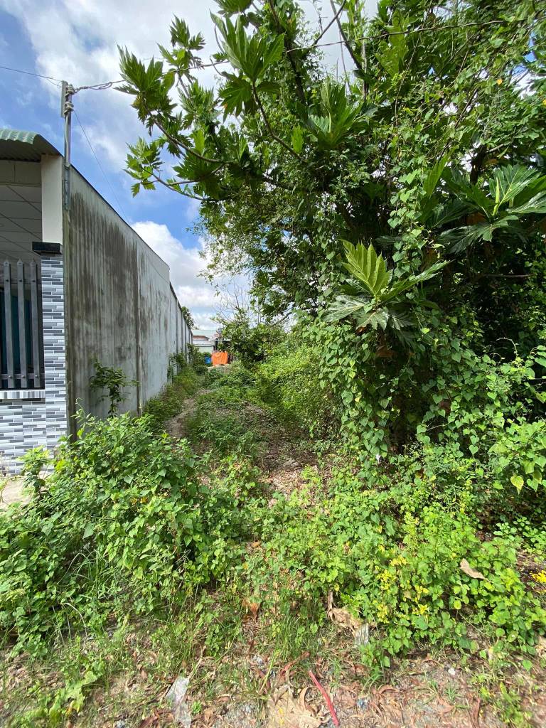 Bán đất 150m2 tại Phường An Hòa, Thị xã Trảng Bàng, Tây Ninh - Giá chỉ 1.2 tỷ VND