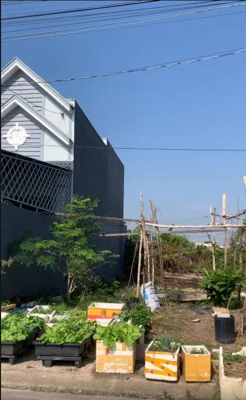 Bán đất 80m2 tại Xã Mỹ Hạnh Nam, Huyện Đức Hòa, Long An giá 1.1 tỷ VND