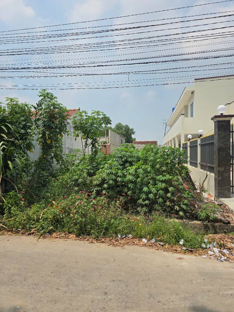 Cần bán đất 155m2 tại Mỹ Hạnh Nam, Đức Hòa, Long An - Sổ đỏ chính chủ