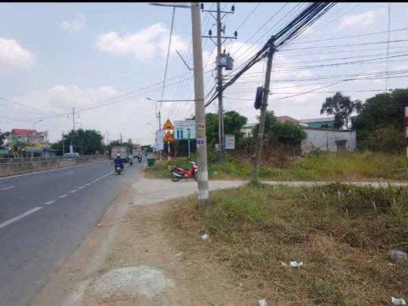 thuviennhadat.vn