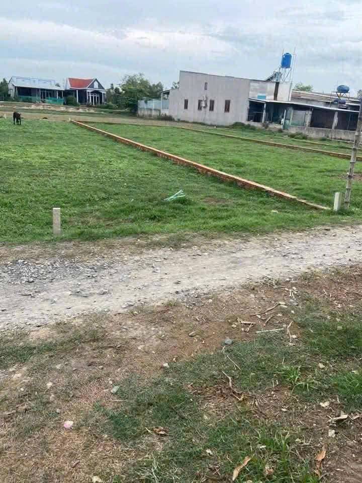 thuviennhadat.vn