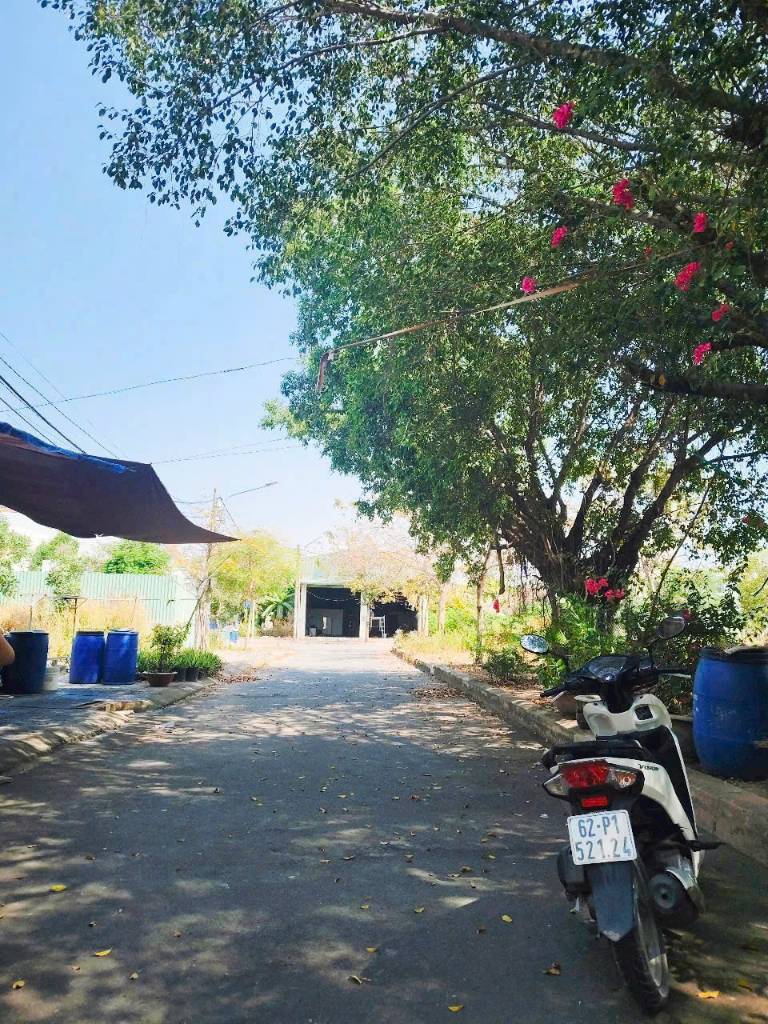 thuviennhadat.vn