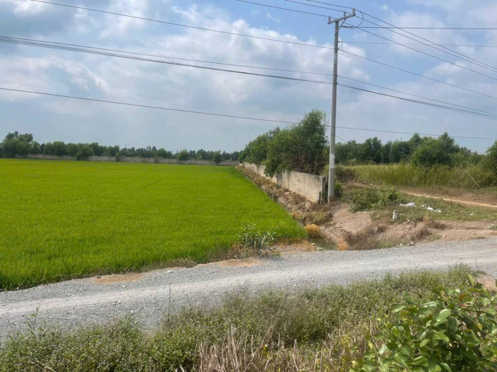 thuviennhadat.vn